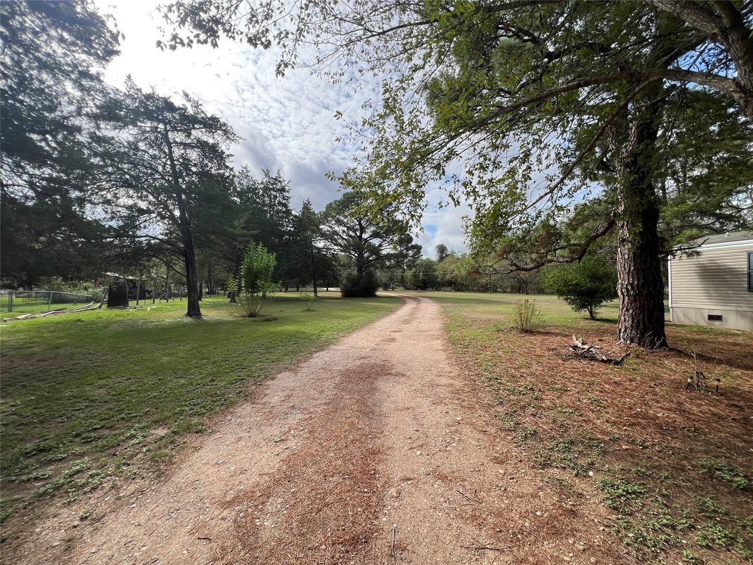 Otros en Bastrop, Texas, Estados Unidos 3 - 19097078