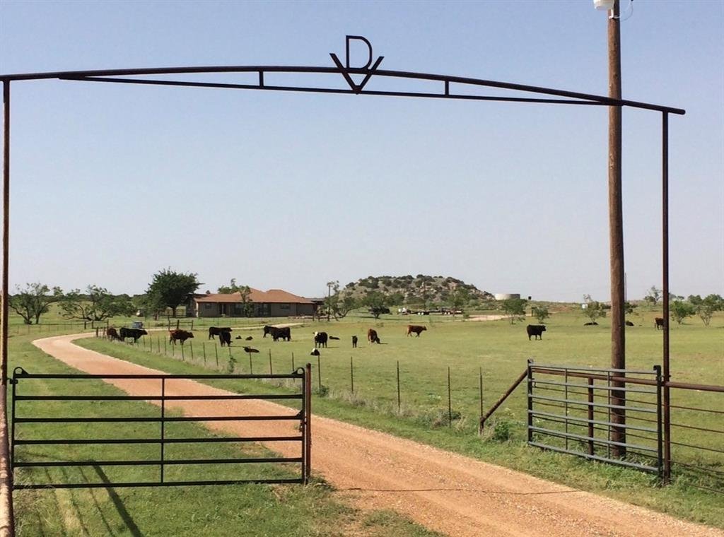 Azienda agricola a Hermleigh, Texas, Stati Uniti 1 - 19097505