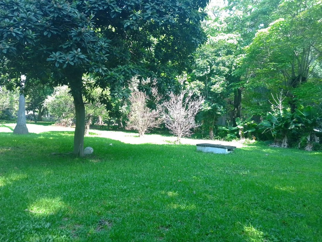 Land in Alpuyeca, Morelos, Mexiko 1 - 19098153