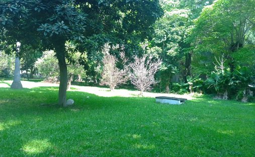 Land in Alpuyeca, Morelos, Mexico 1