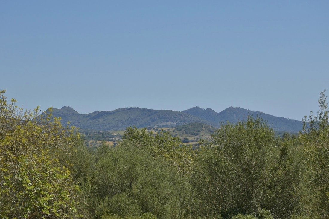 Finca in Manacor, Balearische Inseln, Spanien 3 - 18243601