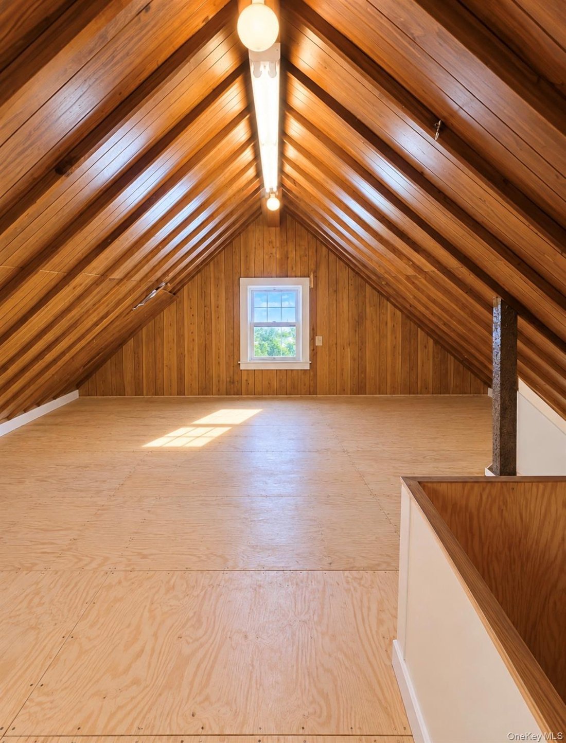 House in New York, New York, United States 5 - 19096802