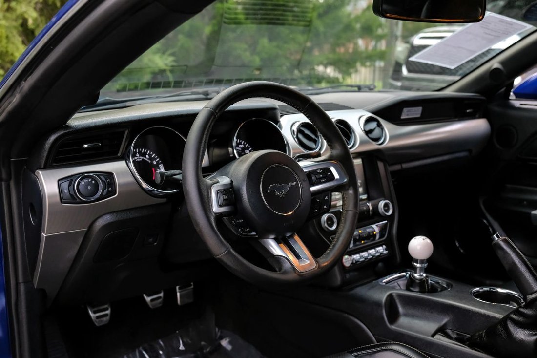 Coupe in Plano, TX, United States 3 - 19091093