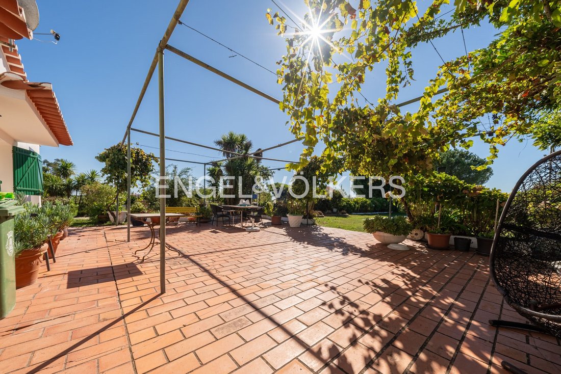 Finca in Coruche, Fajarda e Erra, Distrikt Santarém, Portugal 4 - 19098060