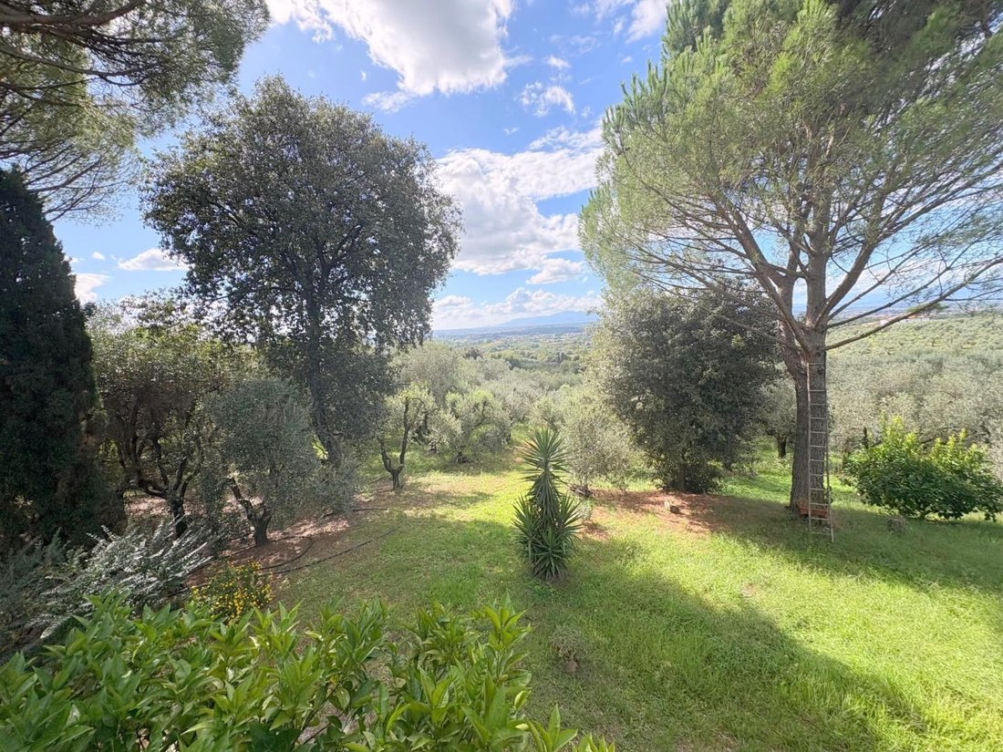 Farm Ranch in Toiano - La Stella - Mercatale, Vinci, Tuscany 4 - 19096265