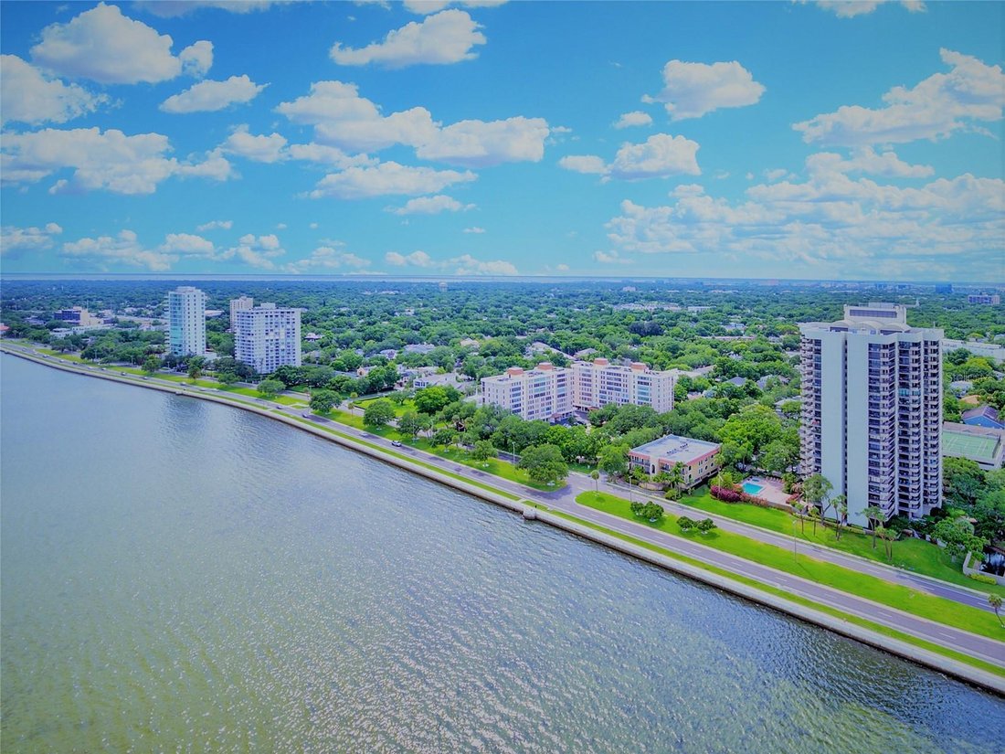 Condominio a Tampa, Florida, Stati Uniti 3 - 19097027