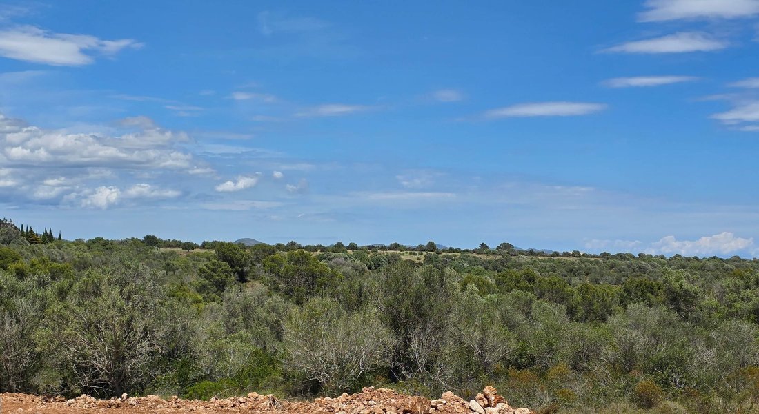 Finca a Manacor, Isole Baleari, Spagna 2 - 19095573
