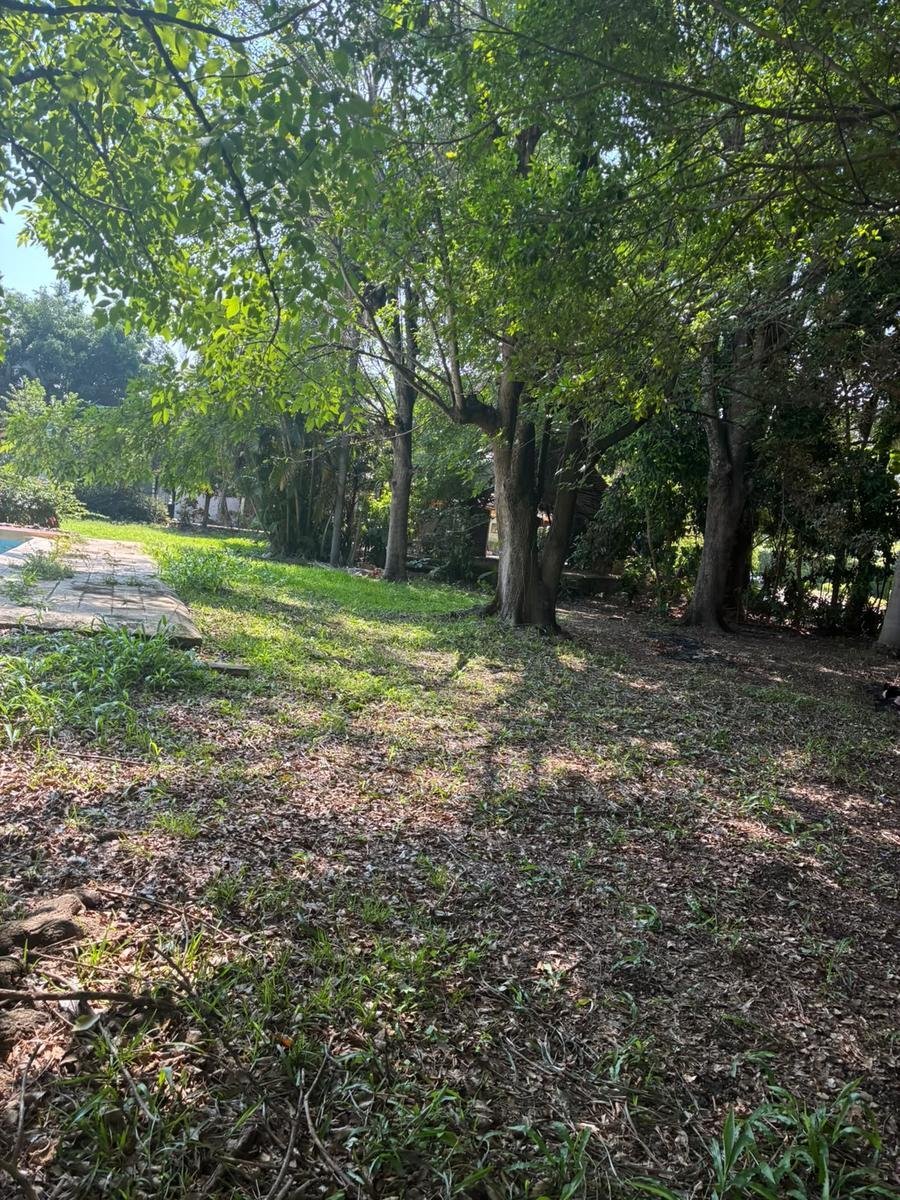 Land in Alpuyeca, Morelos, Mexiko 2 - 19098153
