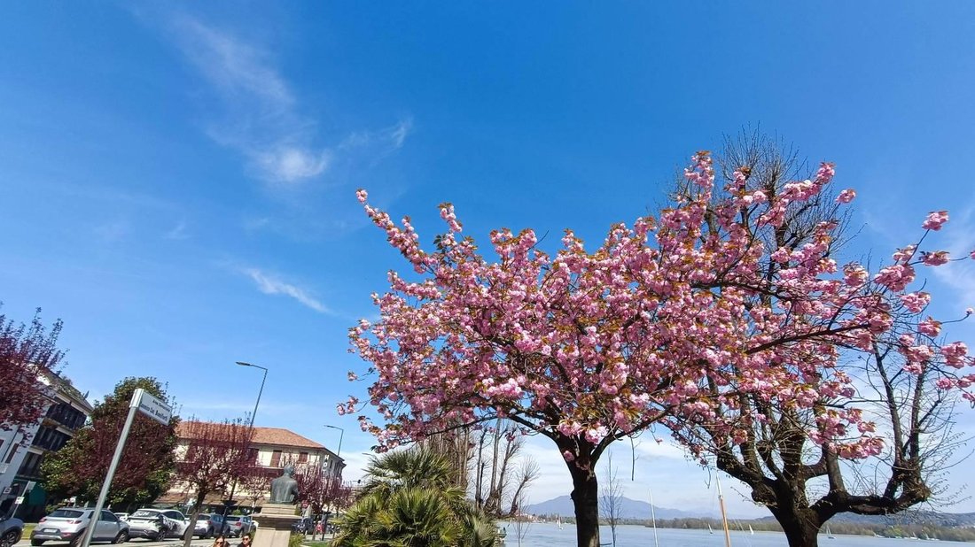 Apartamento en Arona, Piamonte, Italia 4 - 19094031