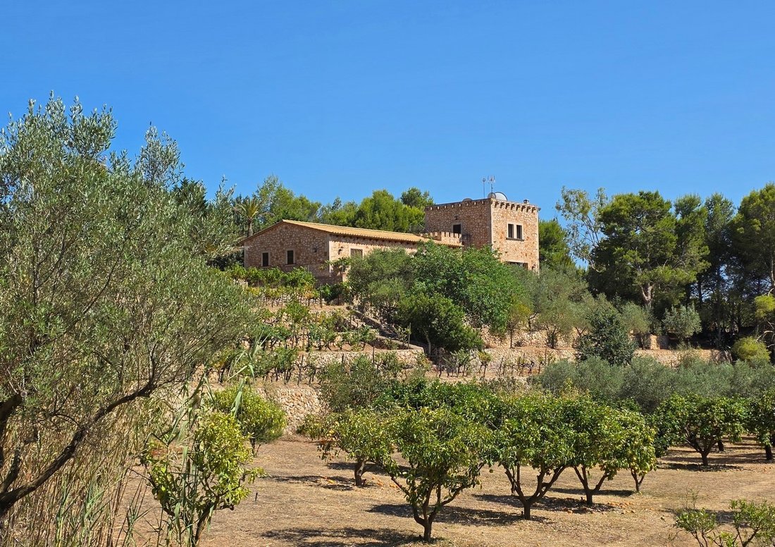 Finca in Santanyí, Balearische Inseln, Spanien 2 - 19095592