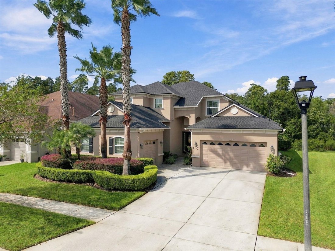 House in Land O' Lakes, Florida, United States 1 - 19096999