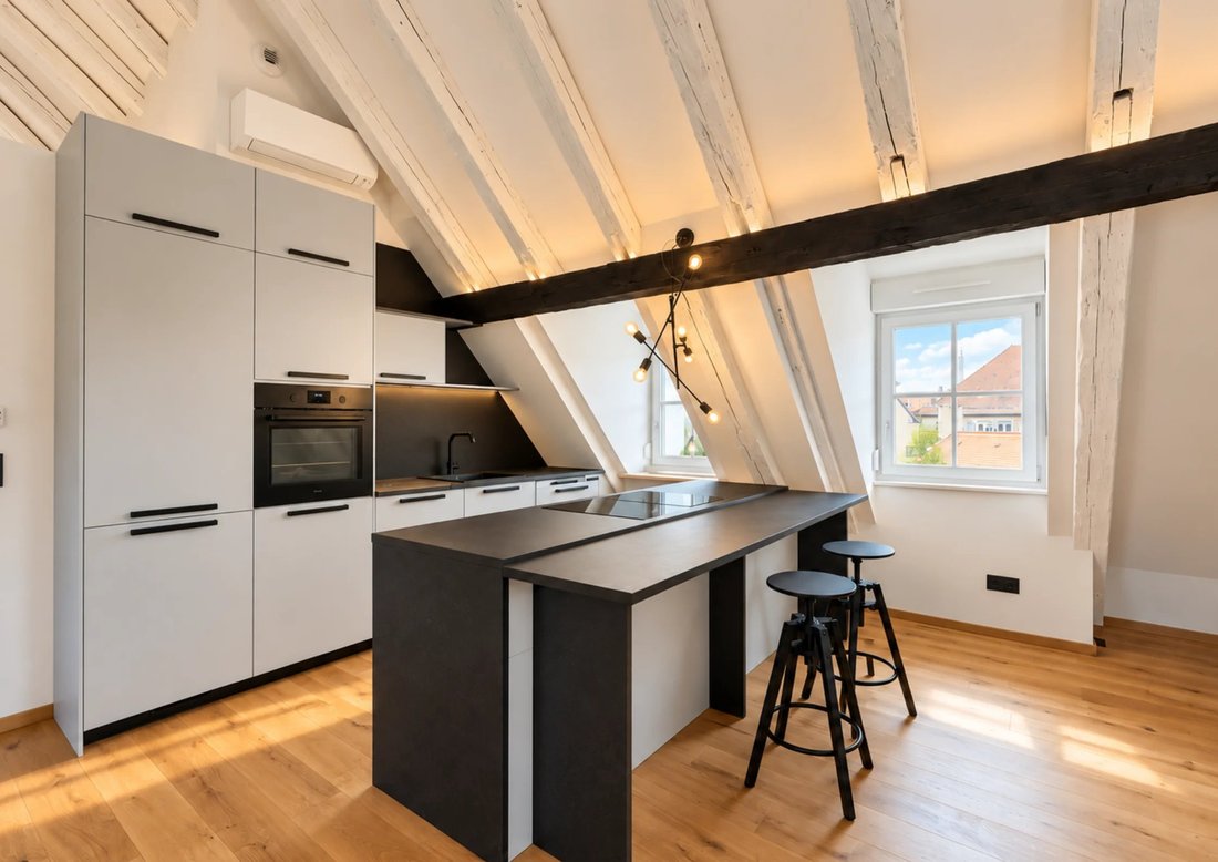 Appartement à Krutenau Centre Est, Strasbourg, France 3 - 19095331
