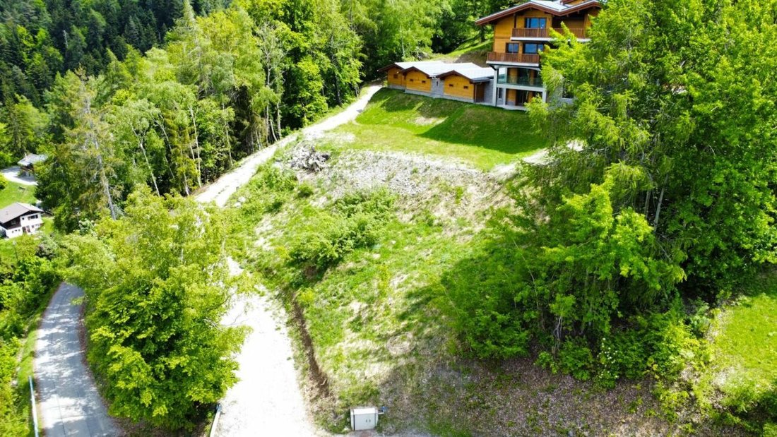 Land in Switzerland 5 - 19094209