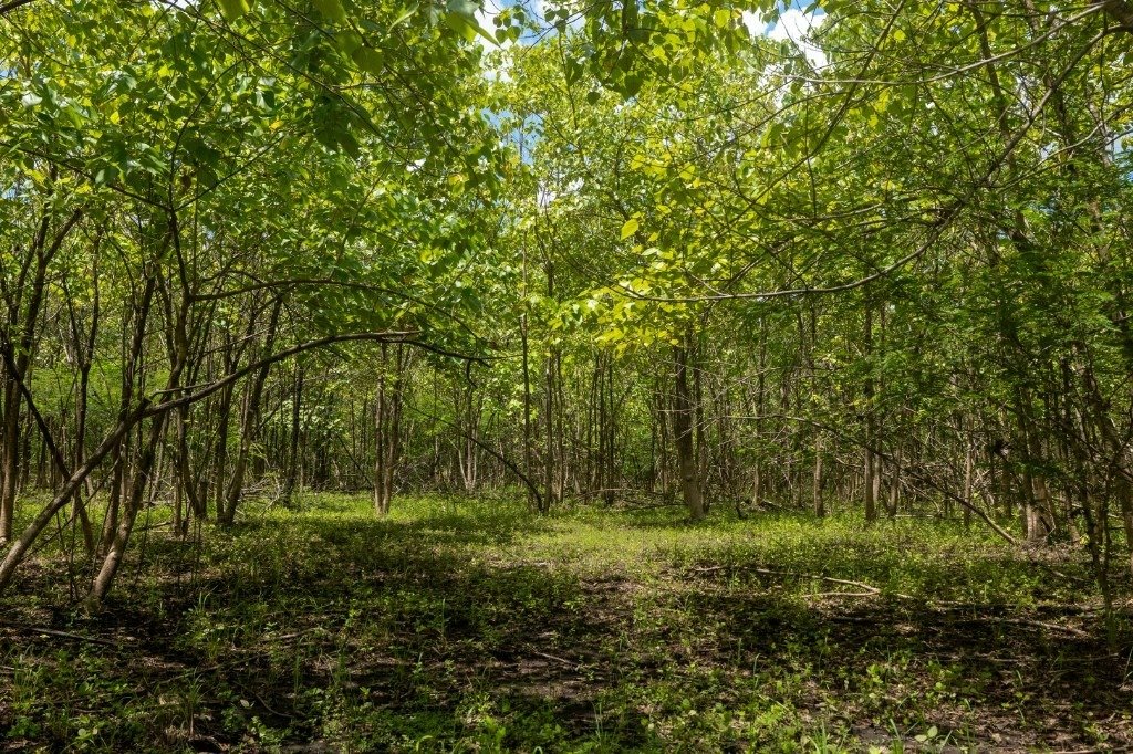 Land in Santa Ana, Guanacaste Province, Costa Rica 3 - 19098907