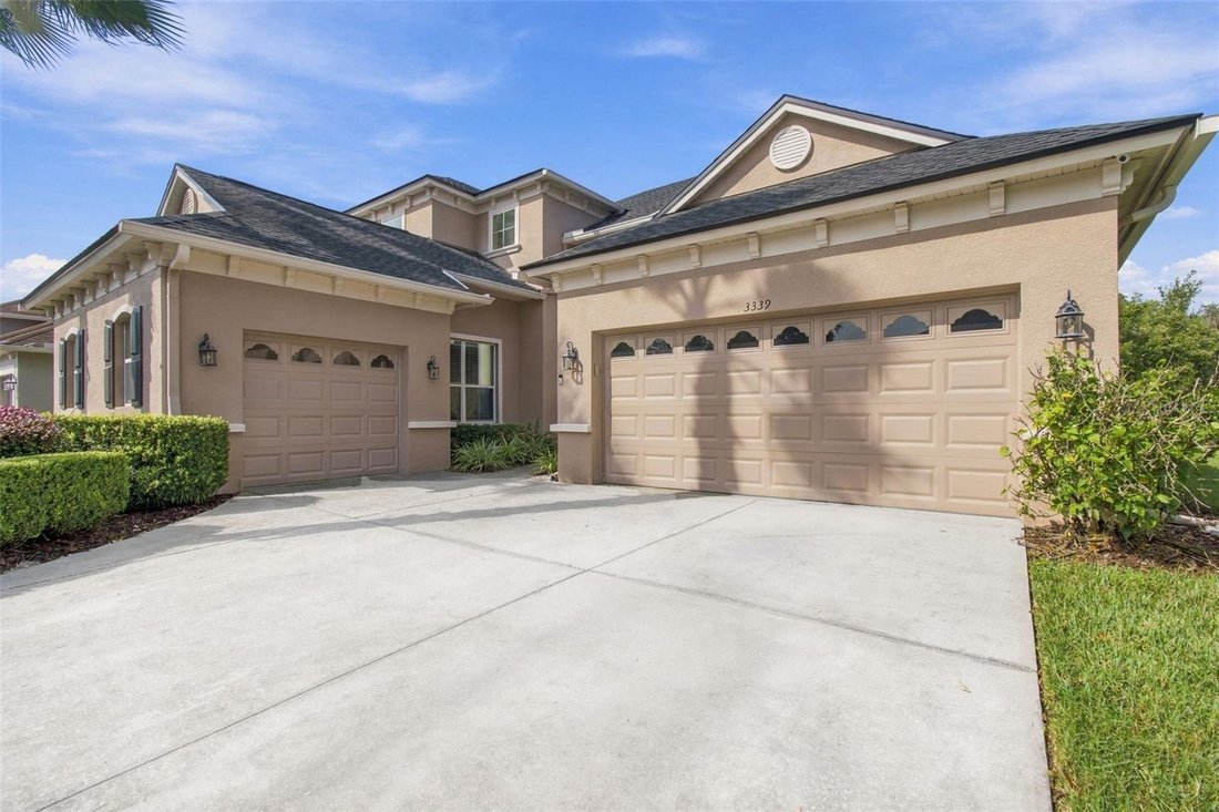 House in Land O' Lakes, Florida, United States 4 - 19096999
