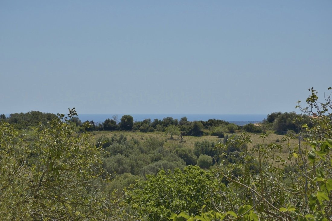 Finca in Manacor, Balearische Inseln, Spanien 4 - 18243601