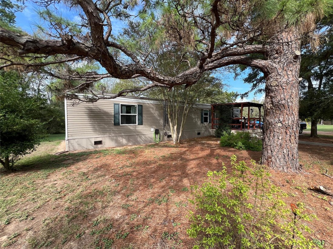 Otros en Bastrop, Texas, Estados Unidos 5 - 19097078