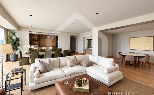 Apartment in Mexico City, Mexico 1