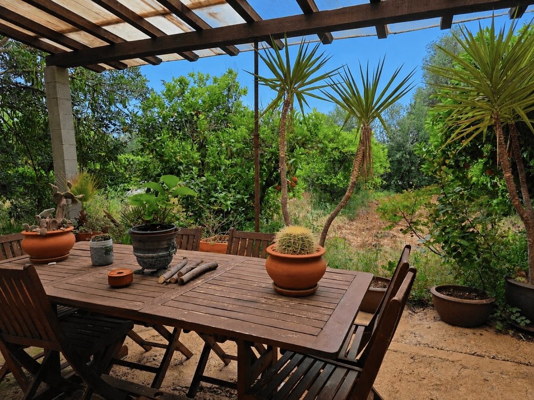 Finca a Santa Maria del Camí, Isole Baleari, Spagna 3 - 18242660