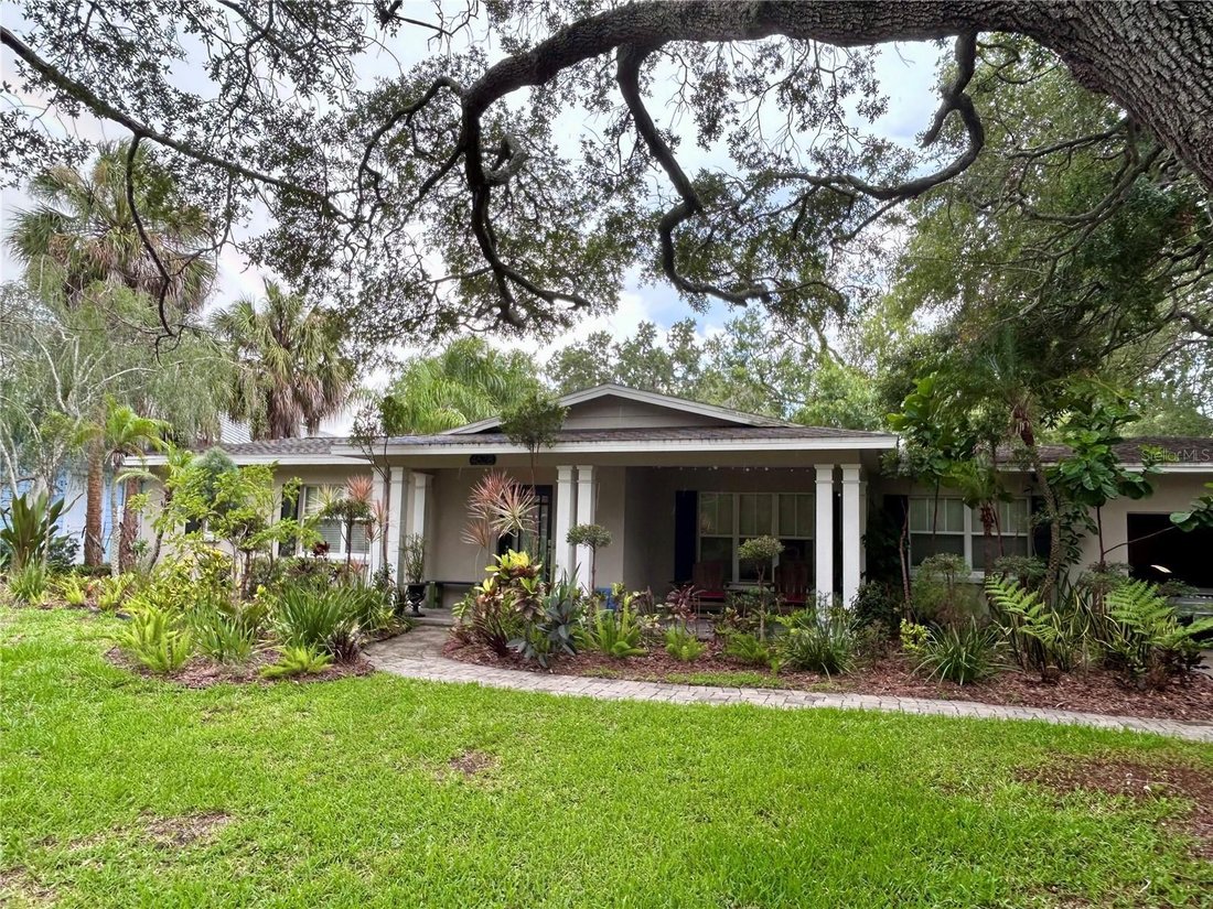 House in Tampa, Florida, United States 1 - 19096984