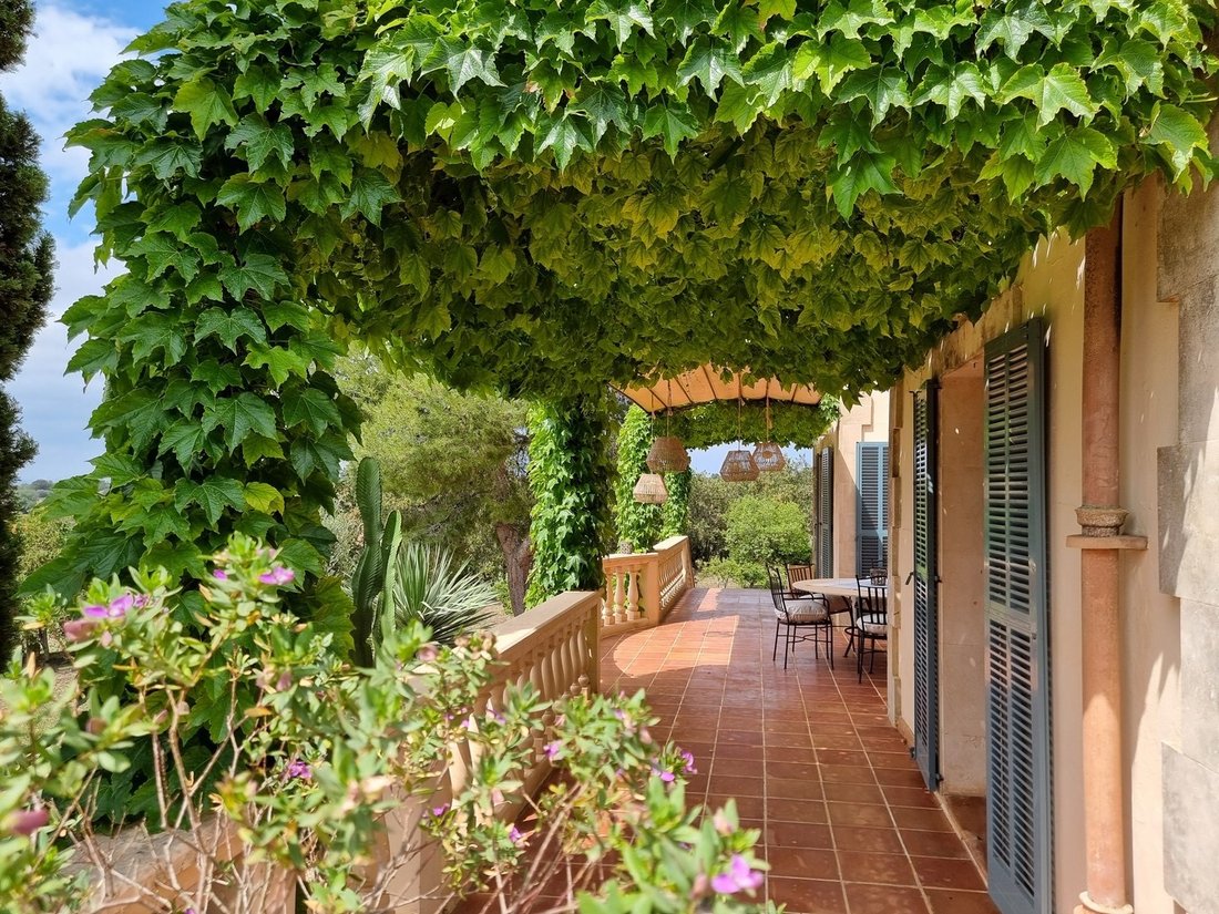 Finca a Petra, Isole Baleari, Spagna 5 - 18243306