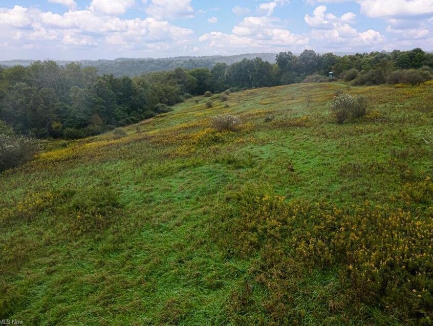 Land in Warsaw, Ohio, United States 5 - 19099079