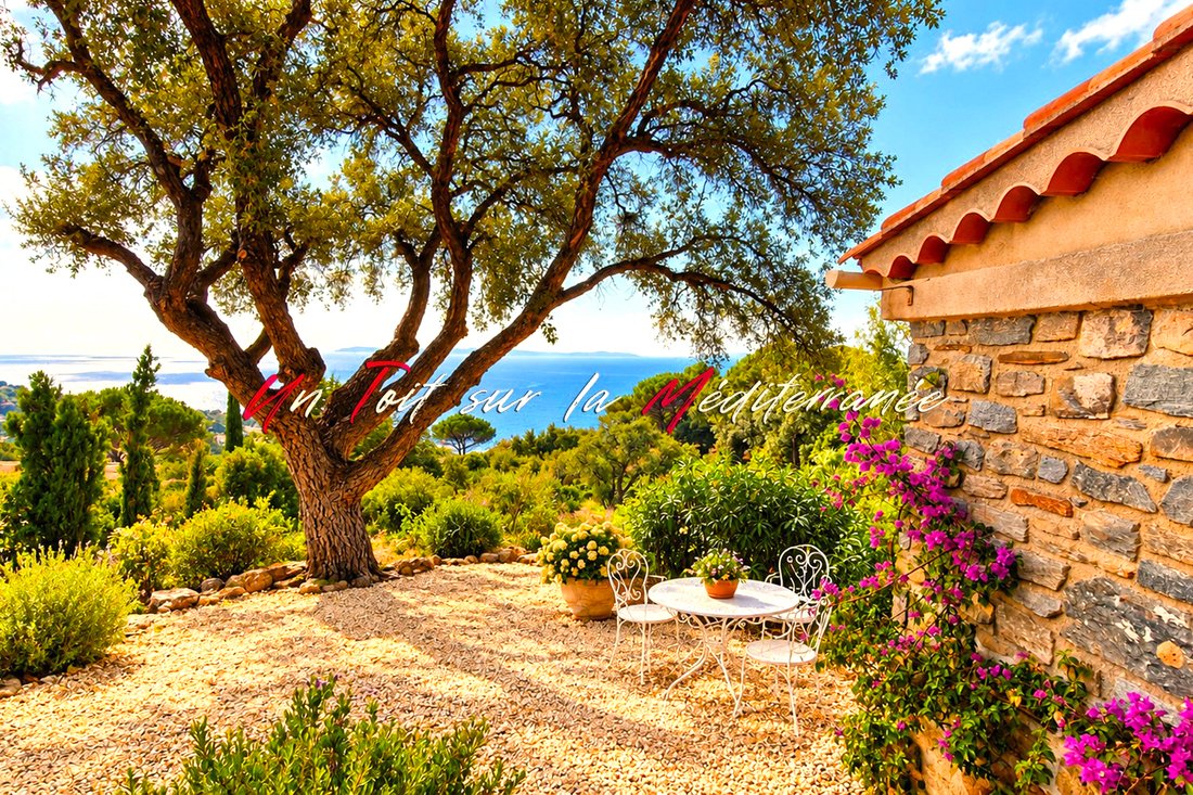 Villa in Le Lavandou, Provence-Alpes-Côte d'Azur, Frankreich 1 - 19095678