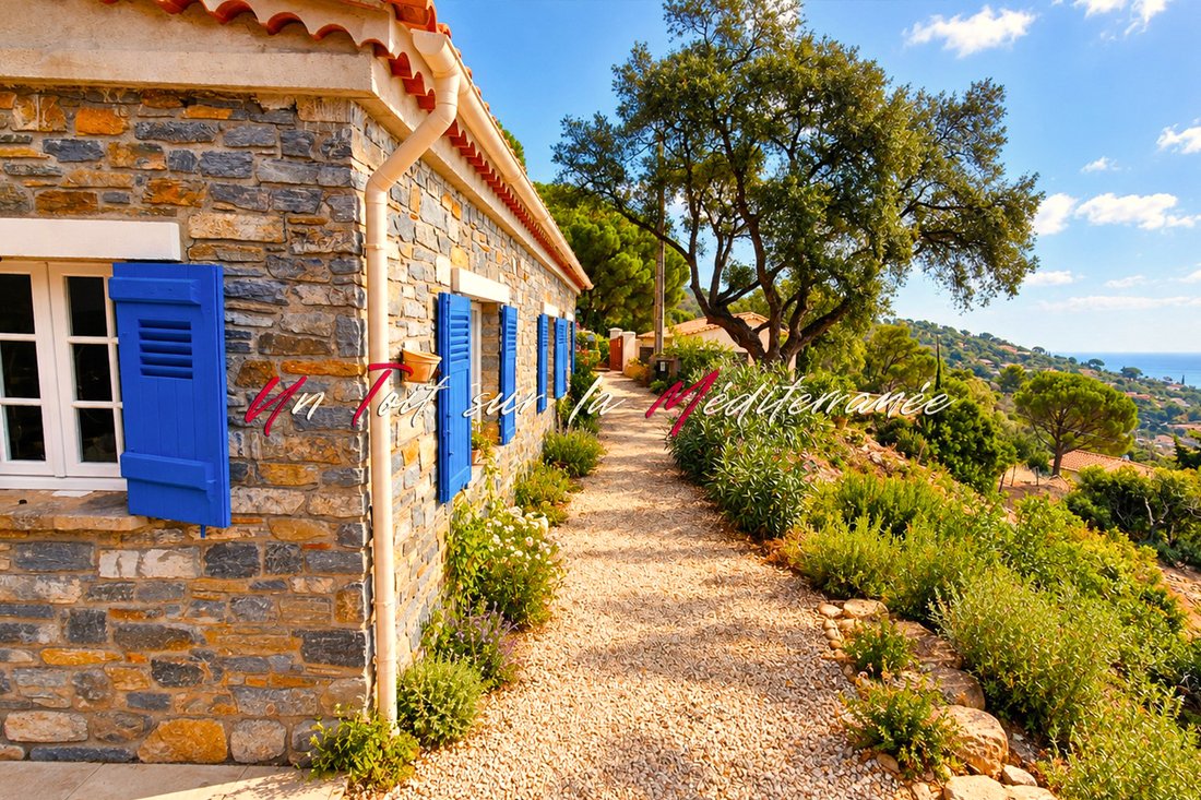 Villa in Le Lavandou, Provence-Alpes-Côte d'Azur, Frankreich 3 - 19095678