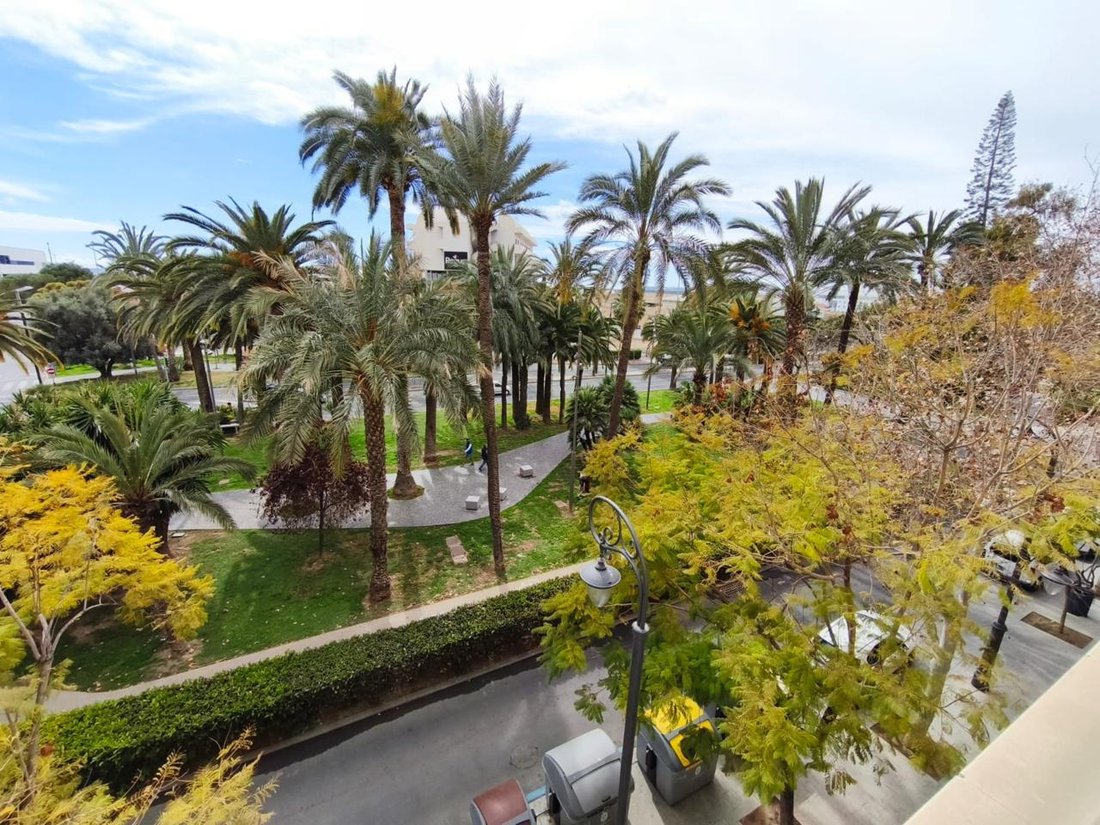 Wohnung in Alicante, Land Valencia, Spanien 2 - 19094974