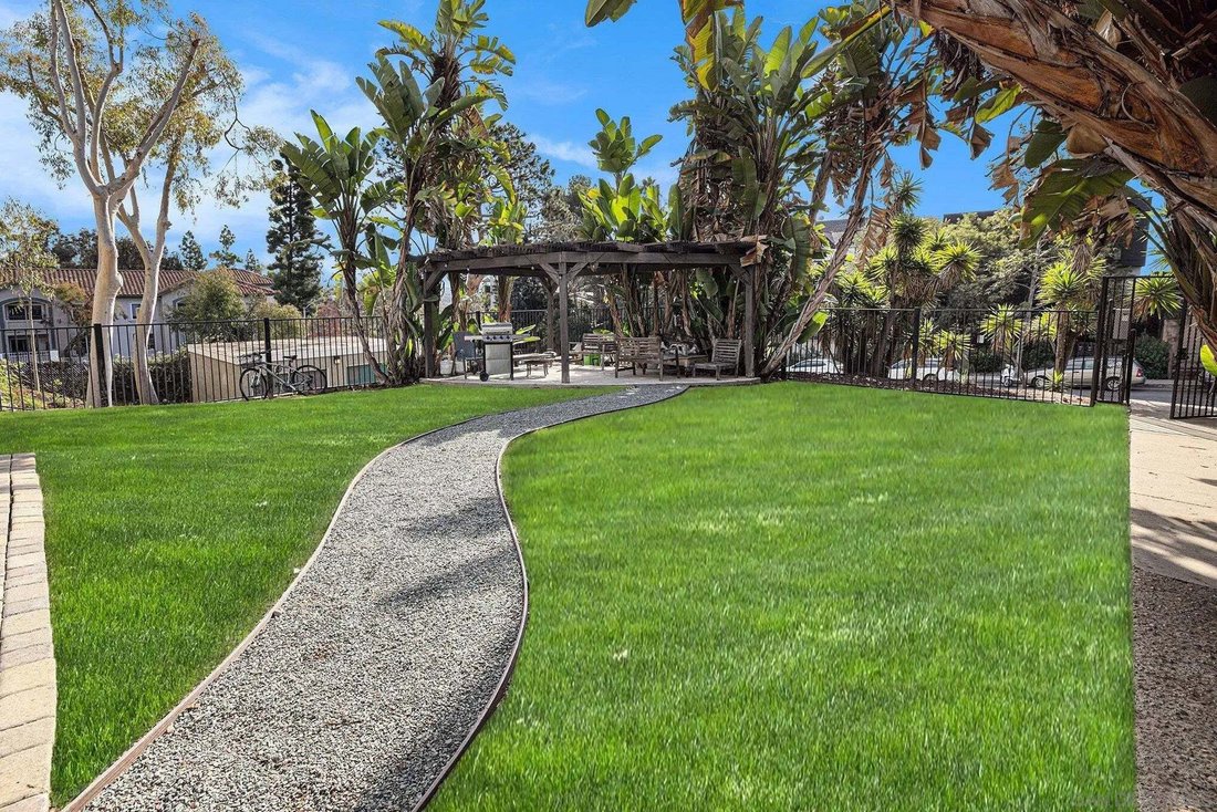 San Diego, California, United States 2 - 19097176