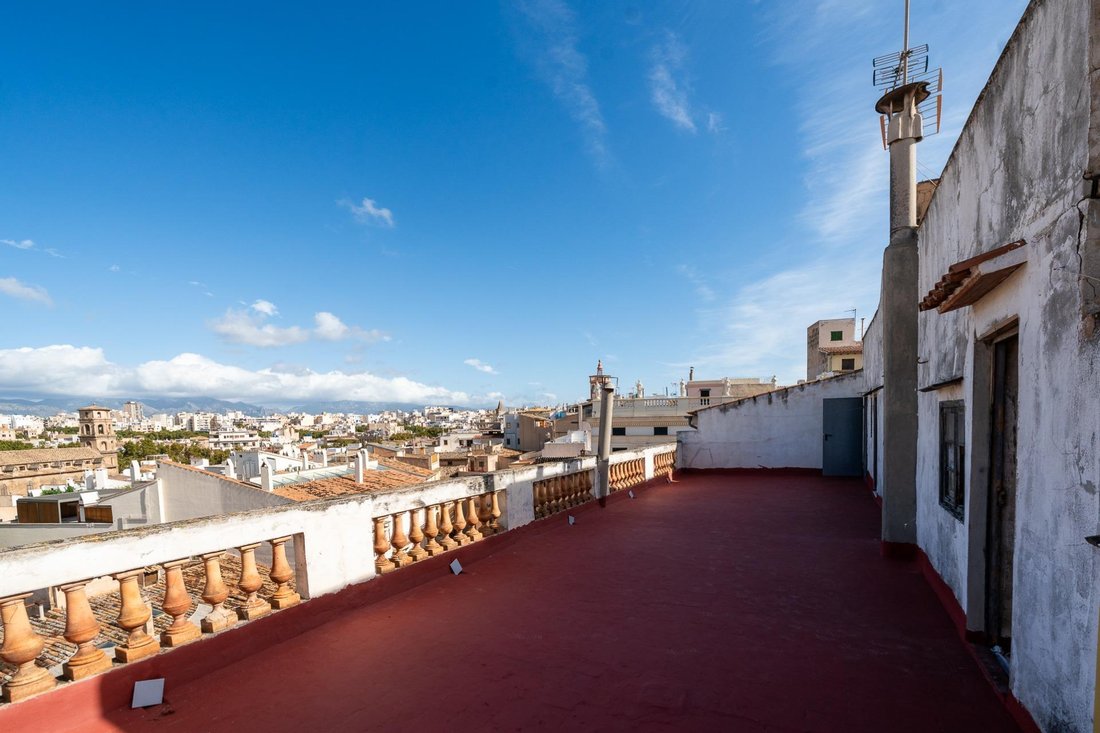 Appartement à Palma, Îles Baléares, Espagne 4 - 19097032