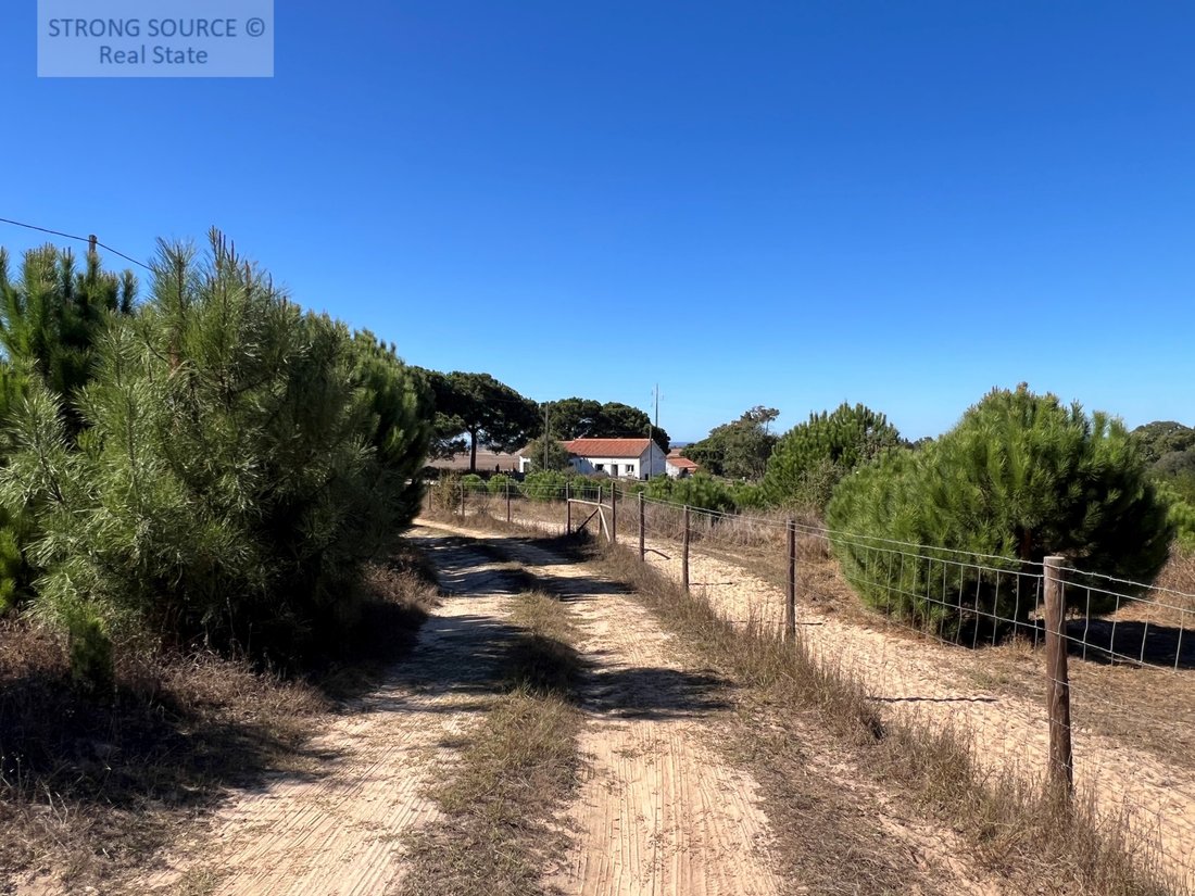 Finca en São Teotónio, Distrito de Beja, Portugal 3 - 19098079