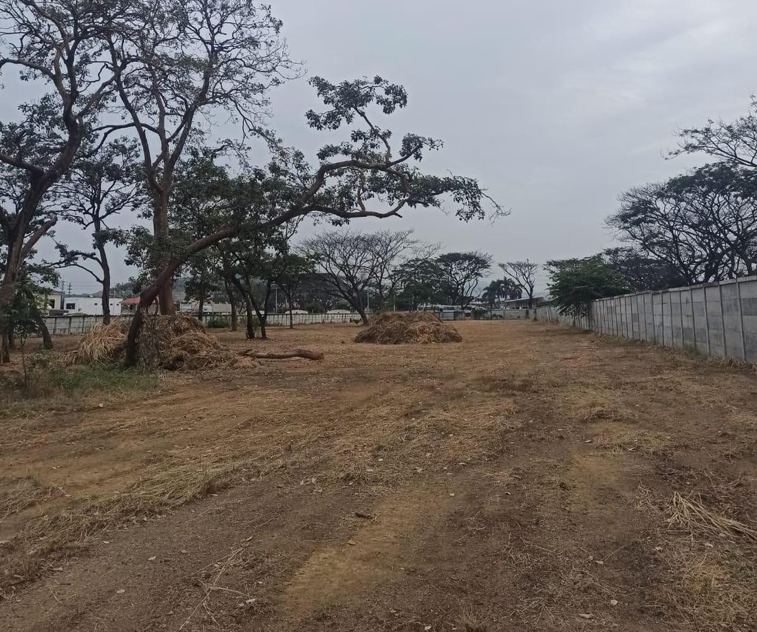 Land in El Condado, Provinz Guayas, Ecuador 5 - 19096037
