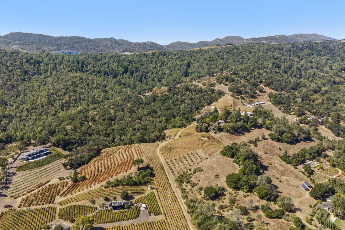 House in Napa, California, United States 3 - 19095792