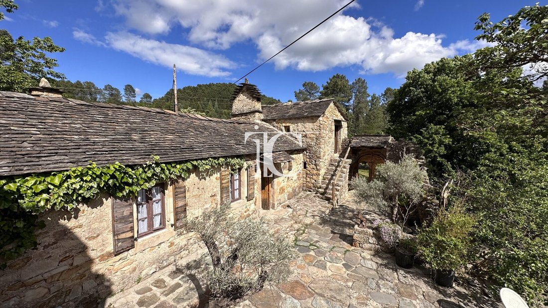 Tenuta a Les Vans, Auvergne-Rodano-Alpi, Francia 3 - 19098123