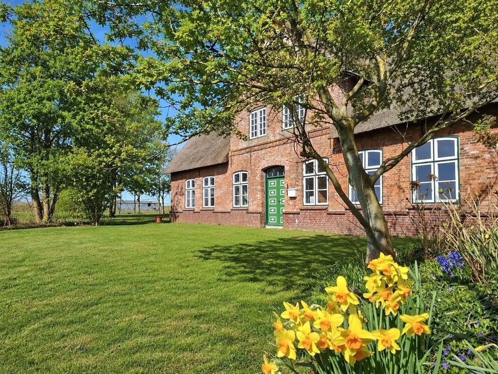 Country House in Norderfriedrichskoog, Schleswig-Holstein, Germany 3 - 19094885