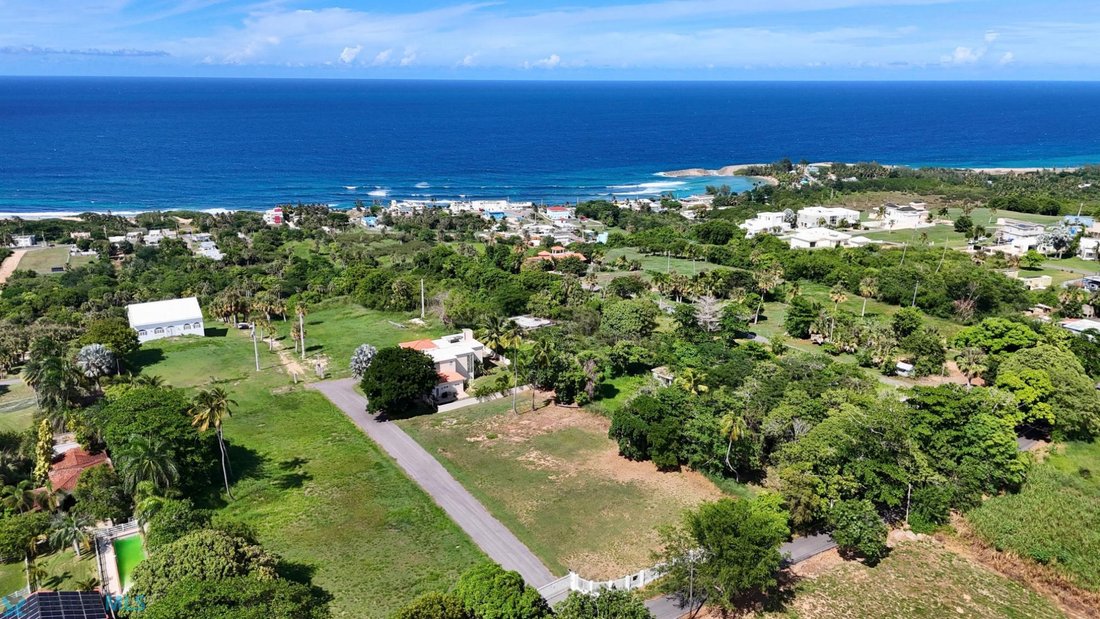 Terrain à Mora, Isabela, Porto Rico 2 - 19094517