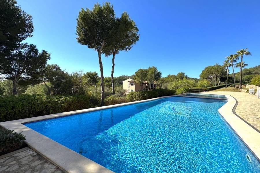 Penthouse in Cala Fornells, Calvia, Balearic Islands 1 - 19094919