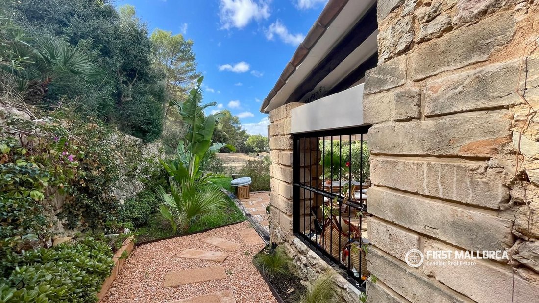 House in s'Arraco, Andratx, Balearic Islands 4 - 19097809