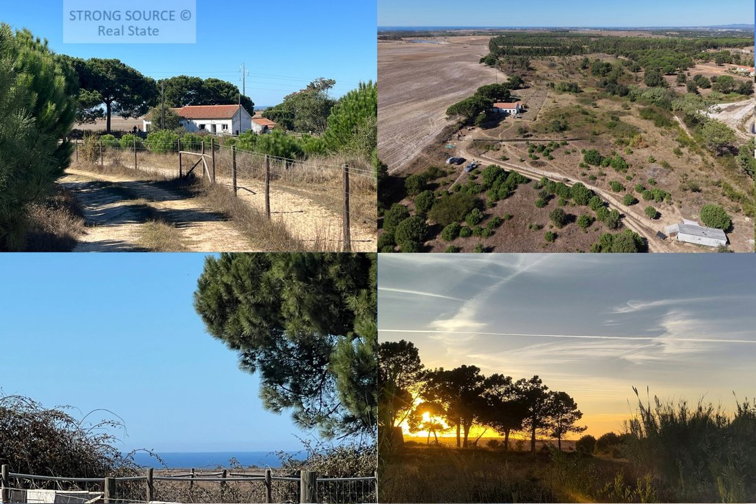 Finca en São Teotónio, Distrito de Beja, Portugal 1 - 19098079