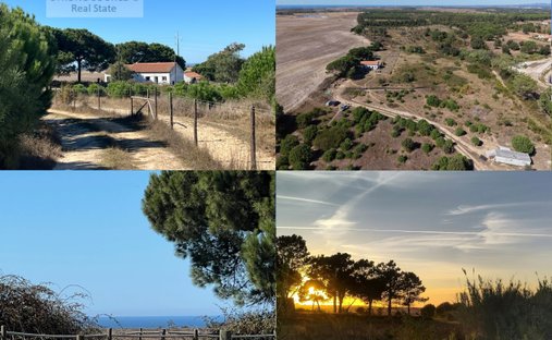 Finca en São Teotónio, Distrito de Beja, Portugal 1