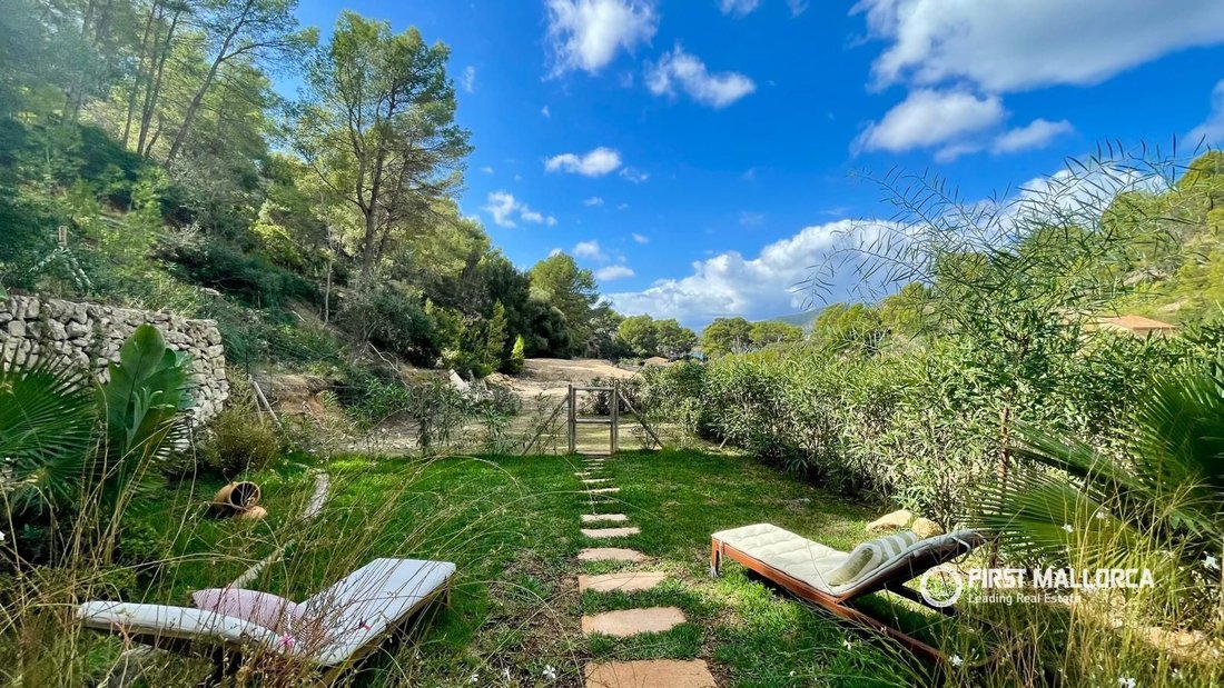 House in s'Arraco, Andratx, Balearic Islands 5 - 19097809