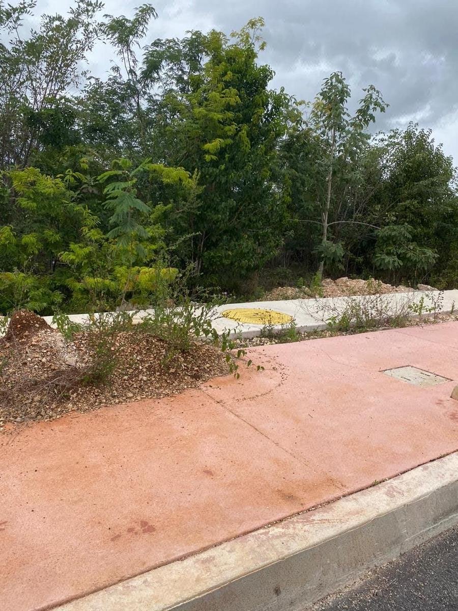 Land in Cancún, Quintana Roo, Mexiko 5 - 19095808