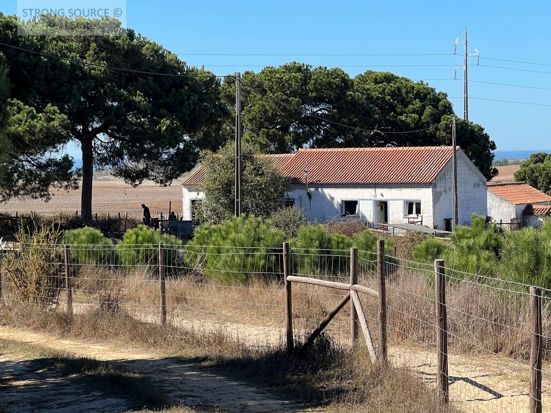 Finca en São Teotónio, Distrito de Beja, Portugal 5 - 19098079