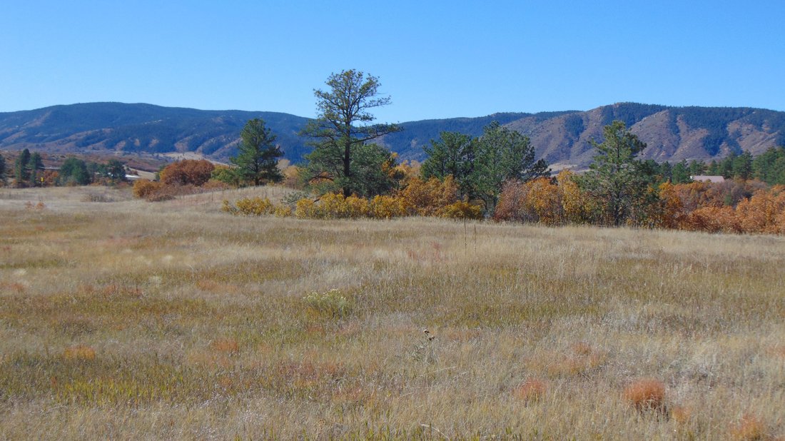 Land in Sedalia, Colorado, Vereinigte Staaten 1 - 19091811