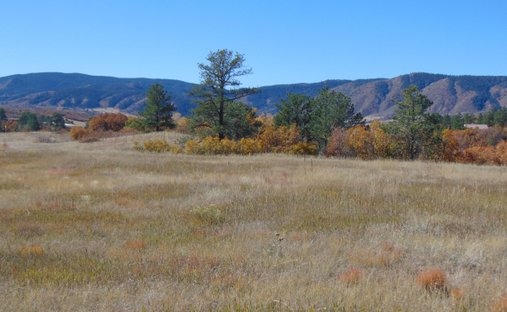 Land in Sedalia, Colorado, Vereinigte Staaten 1