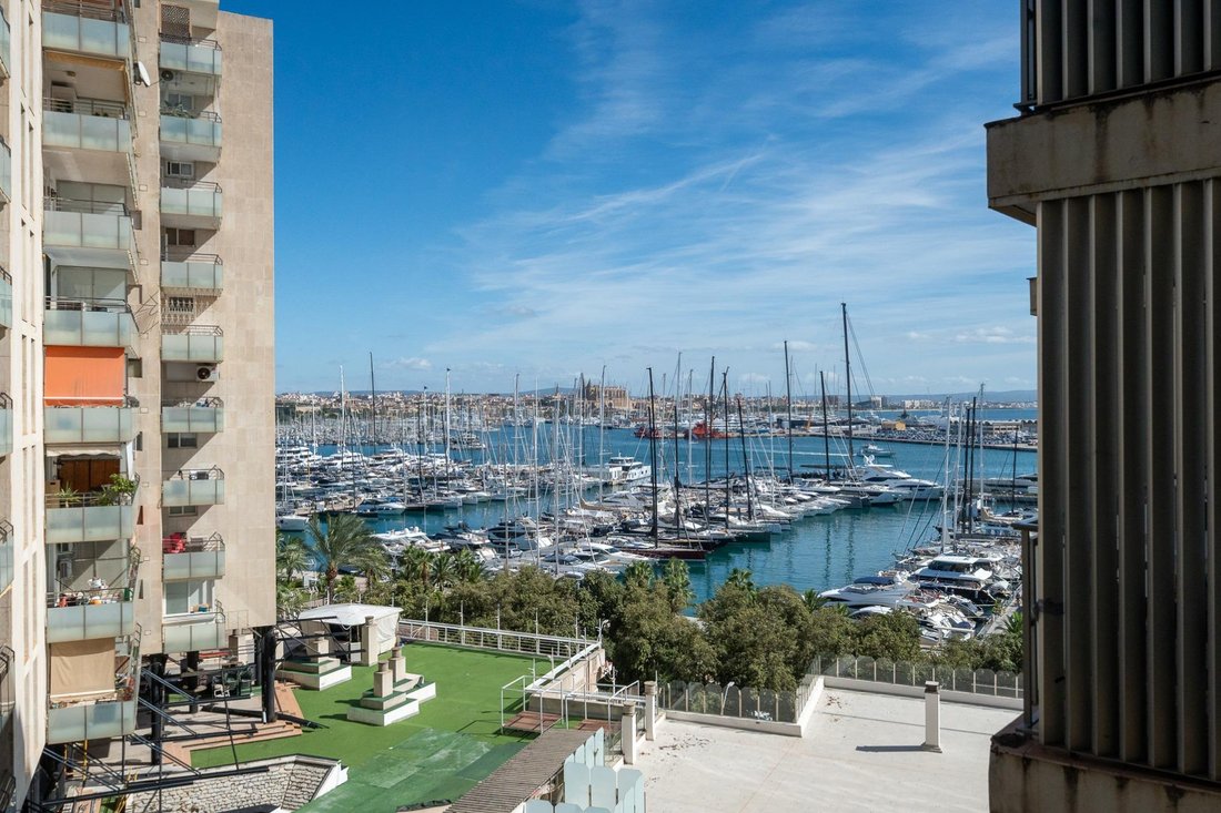 Appartement à Palma, Îles Baléares, Espagne 1 - 19097109