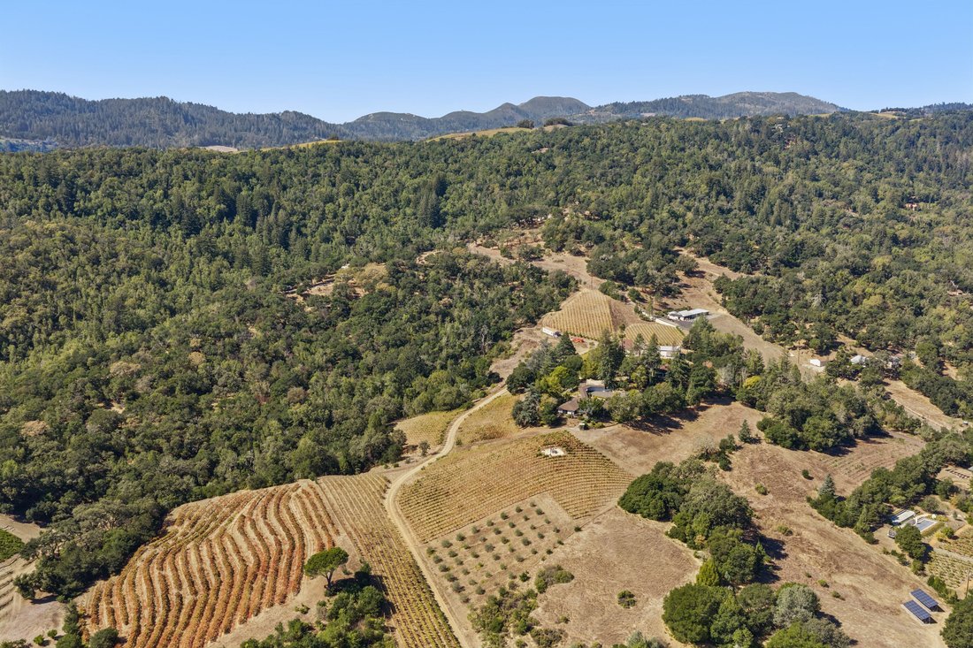 House in Napa, California, United States 4 - 19095792