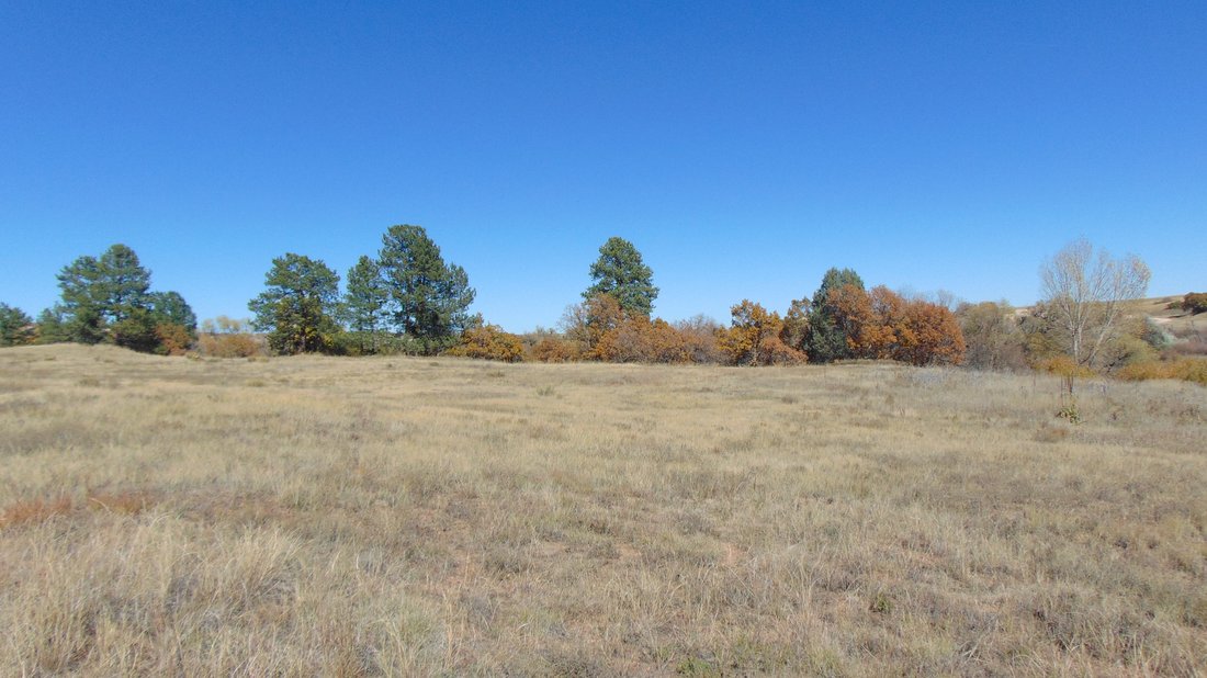 Land in Sedalia, Colorado, Vereinigte Staaten 3 - 19091811