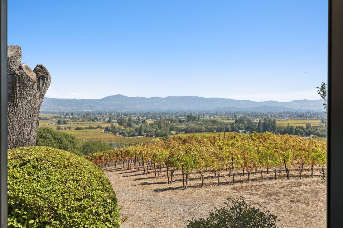 House in Napa, California, United States 2 - 19095792